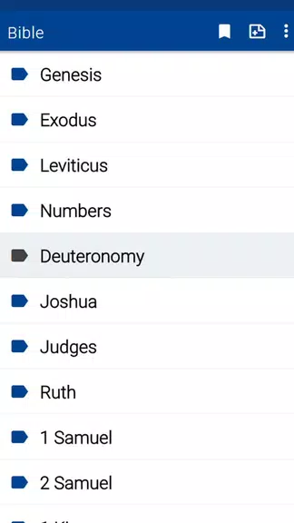 Spurgeon Bible Commentary Capture d'écran 1