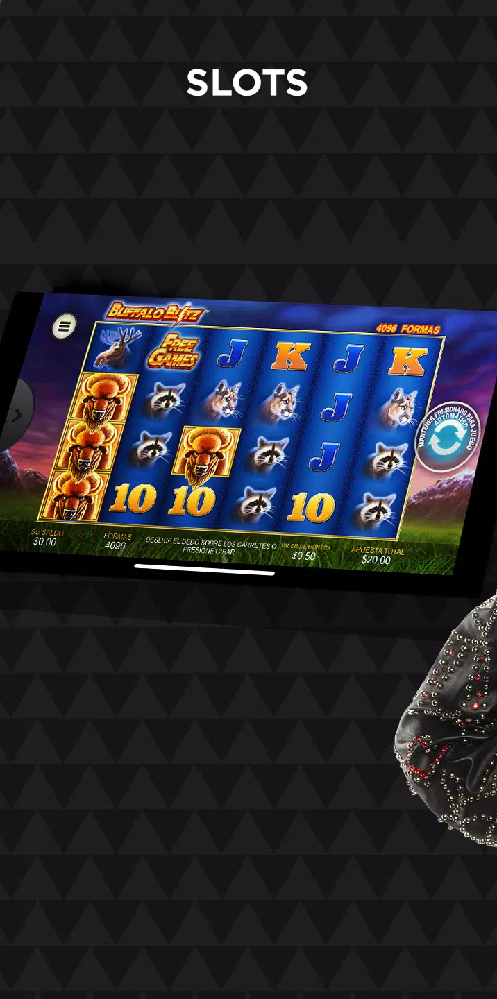 Winner Casino Capture d'écran 2