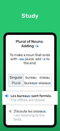 Wlingua - Learn French 스크린샷 1