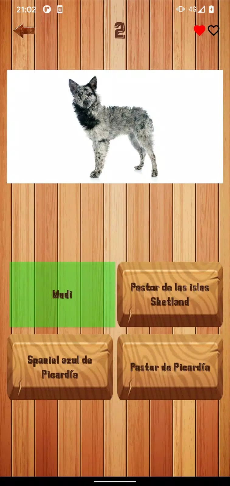 Guess dog breed 螢幕截圖 1