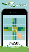Block Puzzle 100 - Fill lines 螢幕截圖 1