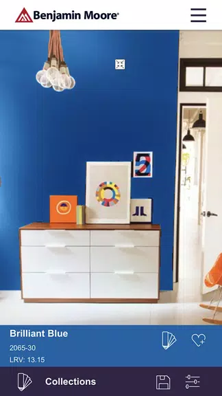 Color Portfolio स्क्रीनशॉट 2