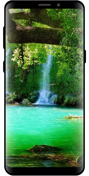 10000 Nature Wallpapers Schermafbeelding 3
