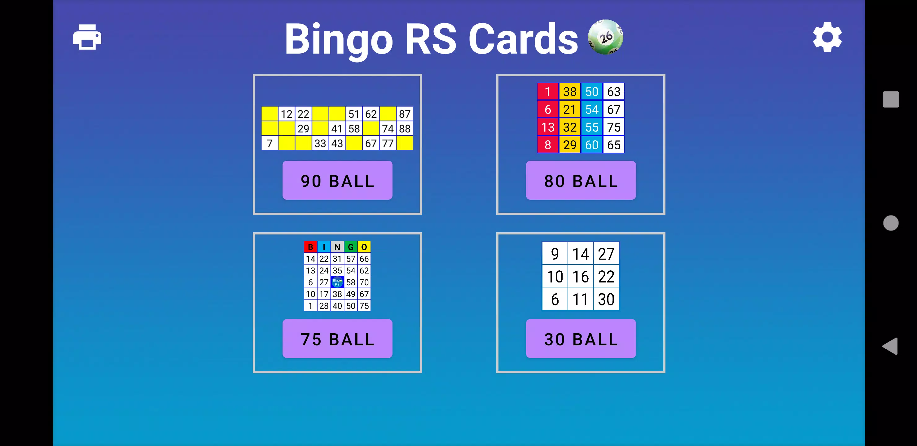 Bingo RS Cards 螢幕截圖 0