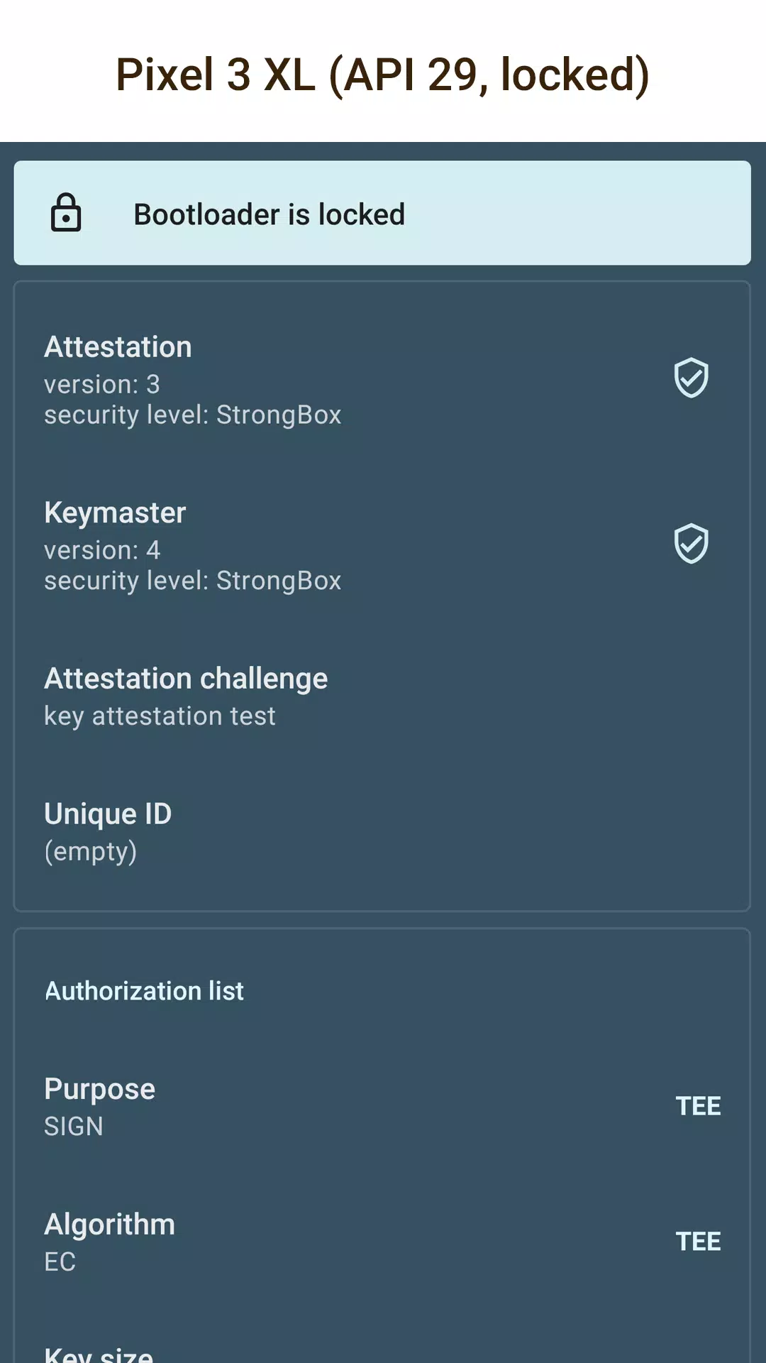 Key Attestation Demo Capture d'écran 0