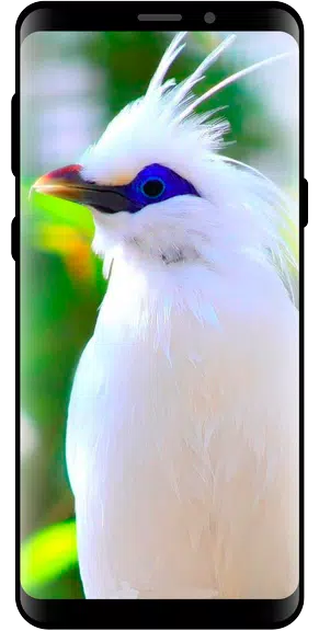 10000 Nature Wallpapers Schermafbeelding 0