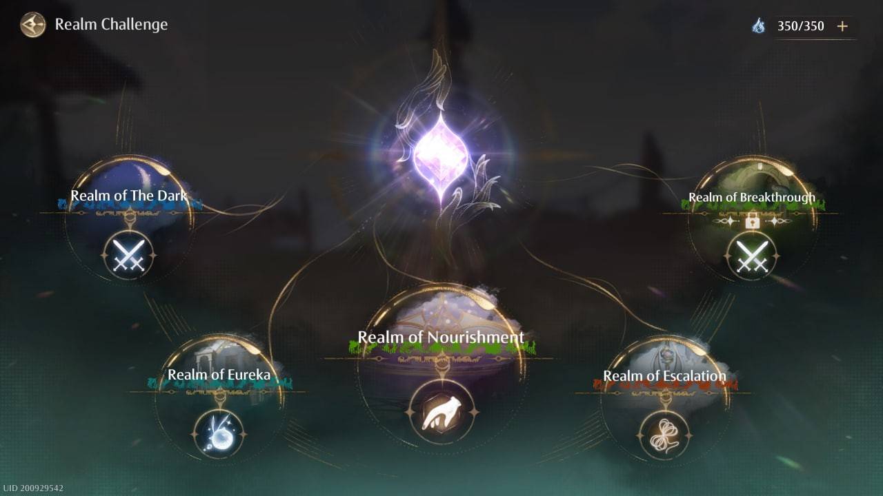 Realm Challenge Interface