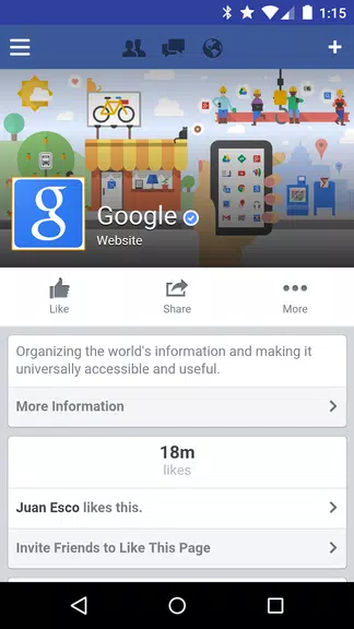Tinfoil for Facebook Capture d'écran 0