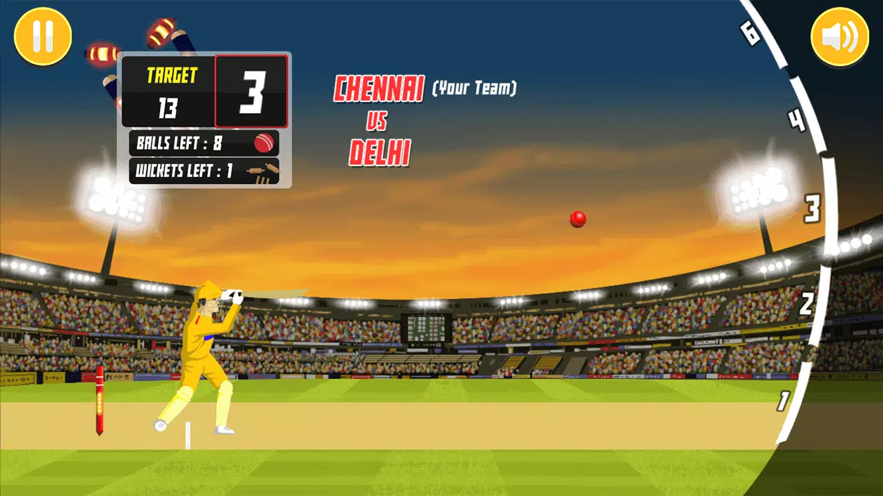 City Cricket Game 螢幕截圖 1