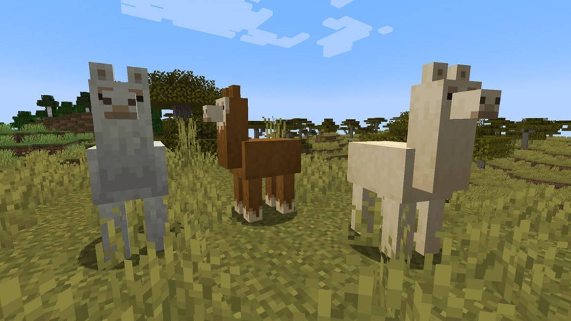 Llamas à Minecraft