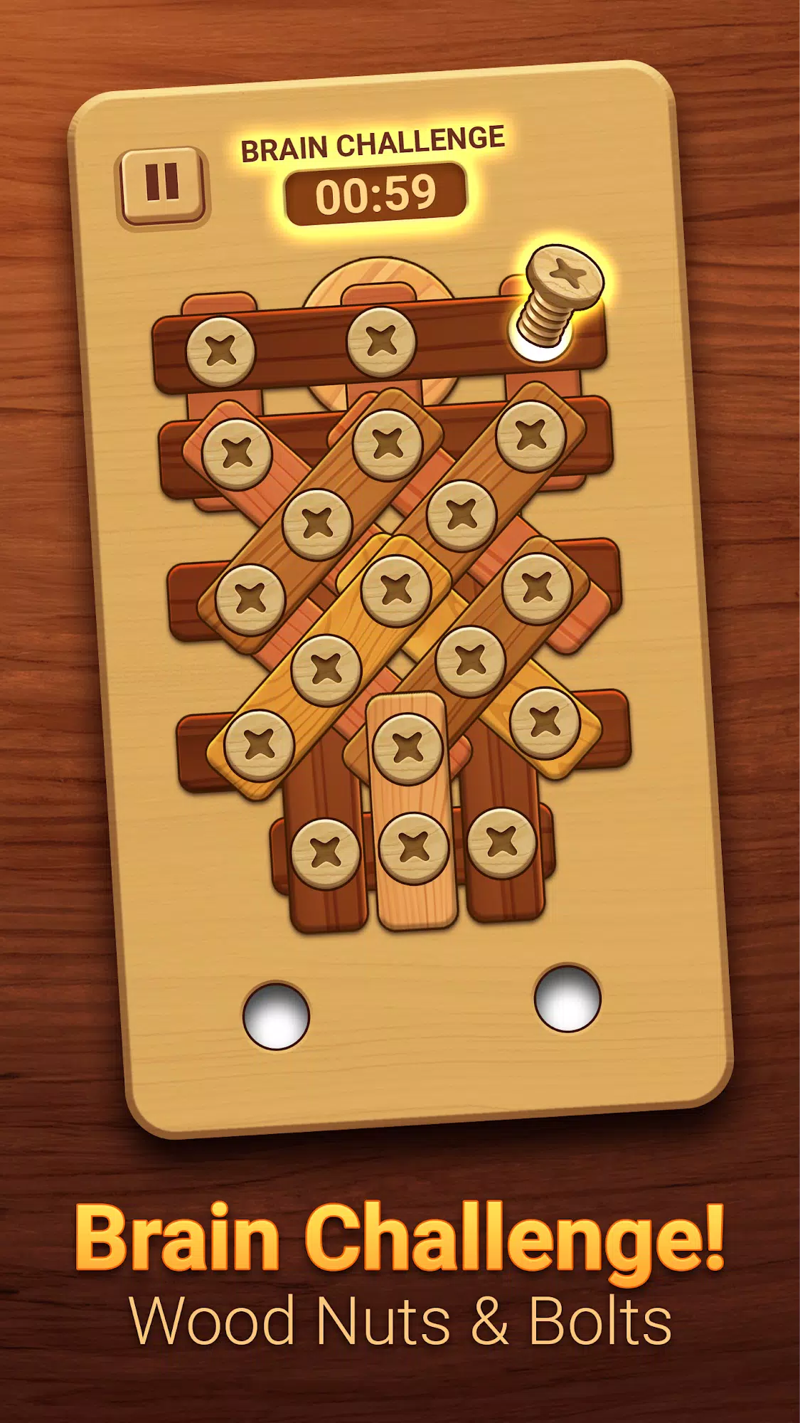 Woodle - Wood Screw Puzzle 螢幕截圖 2