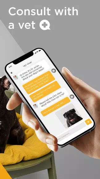 Petcube ဖန်သားပြင်ဓာတ်ပုံ 3