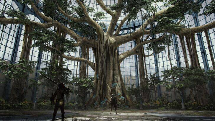 P导演的谎言开放到Elden Ring：Nightreign的多人游戏方向