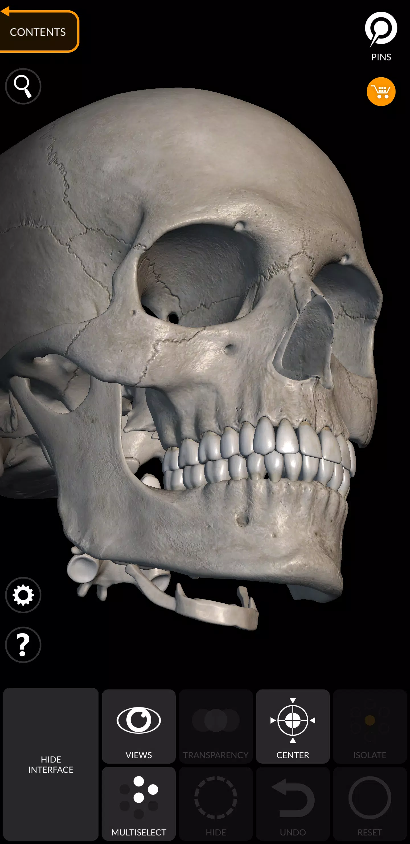 Skeleton 螢幕截圖 3