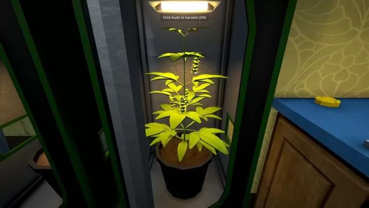 時間表我版權侵權原告被轟炸了審查