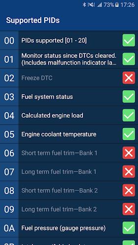 ELM327 Test স্ক্রিনশট 1