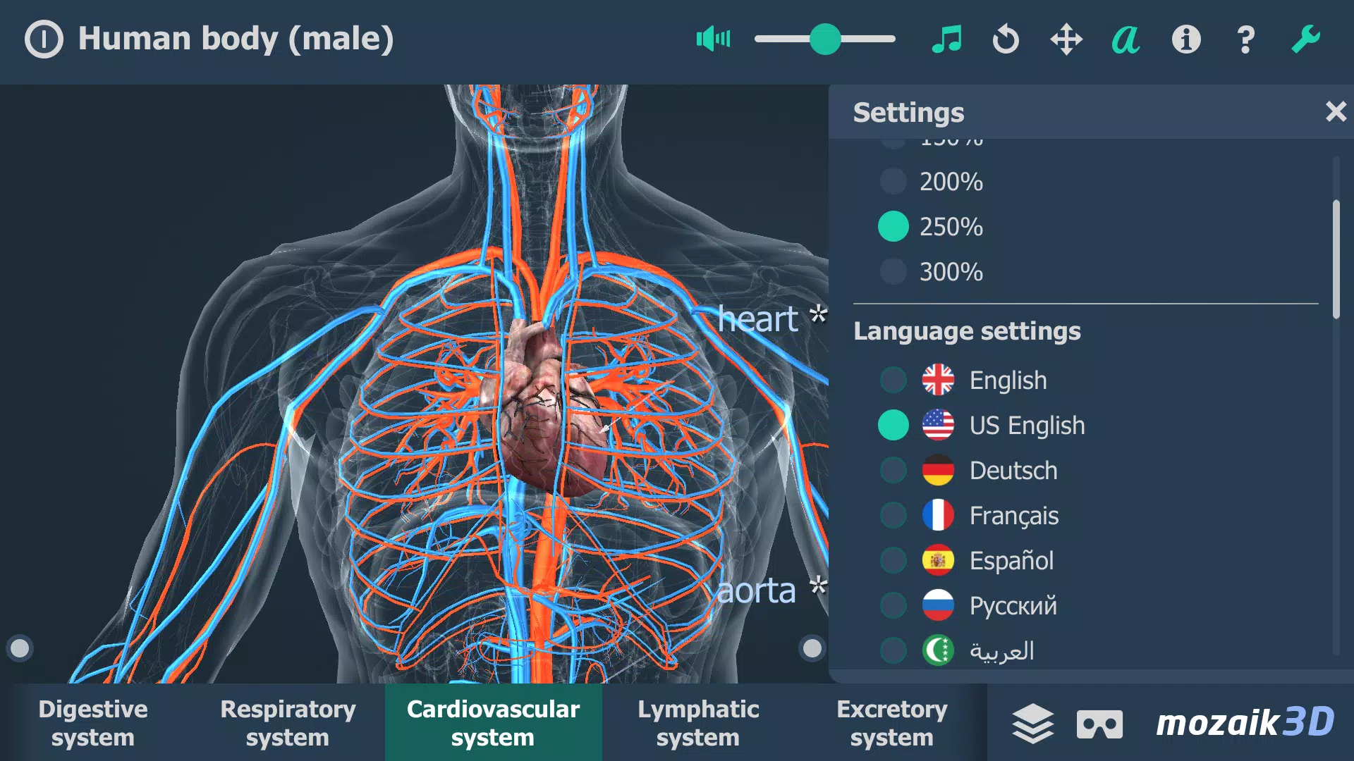 Human body (male) 3D scene Zrzut ekranu 1