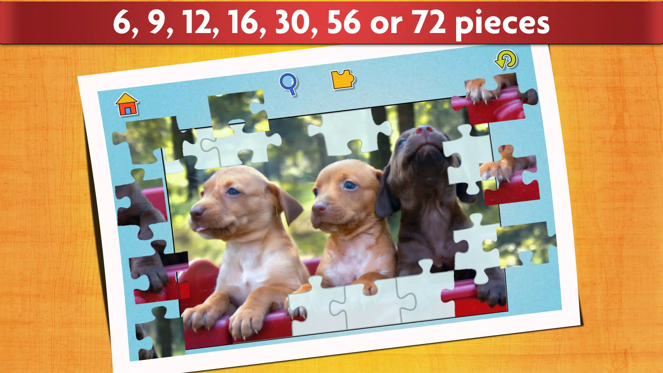Puzzle Games Dogs Jigsaw ภาพหน้าจอ 2