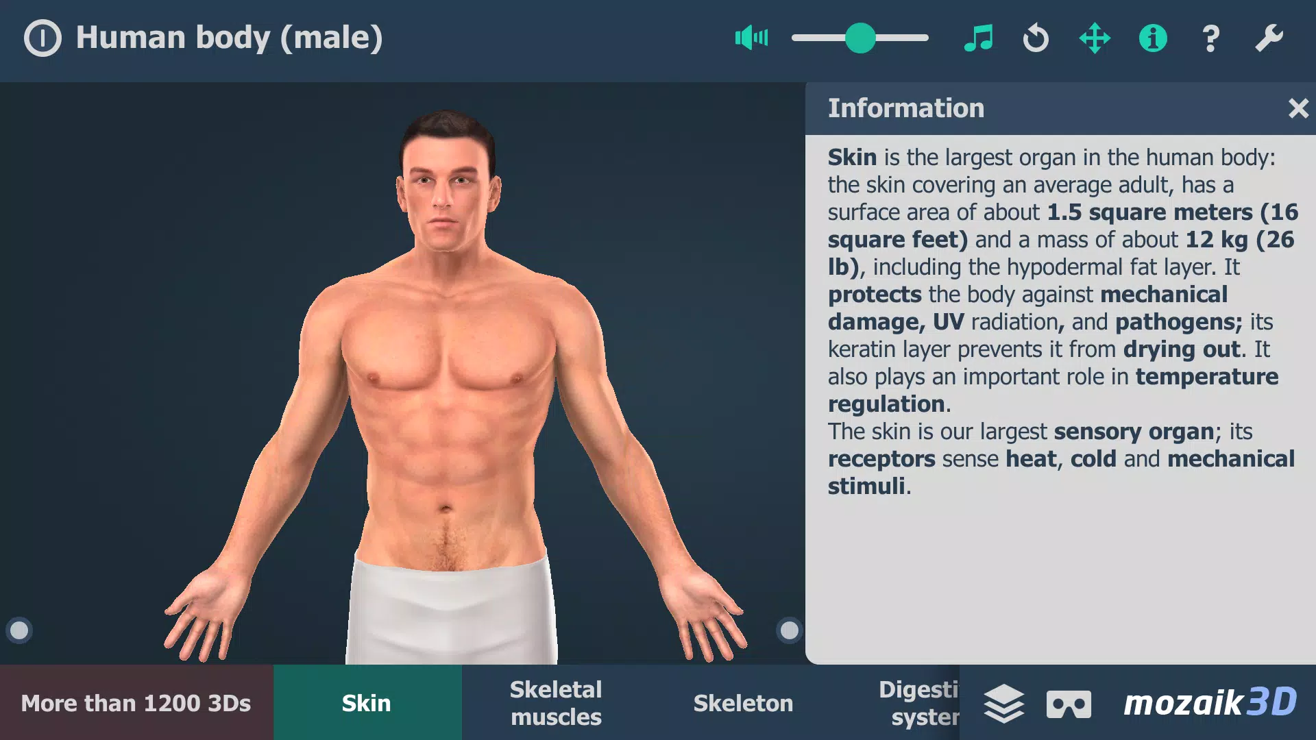 Human body (male) 3D scene Zrzut ekranu 0