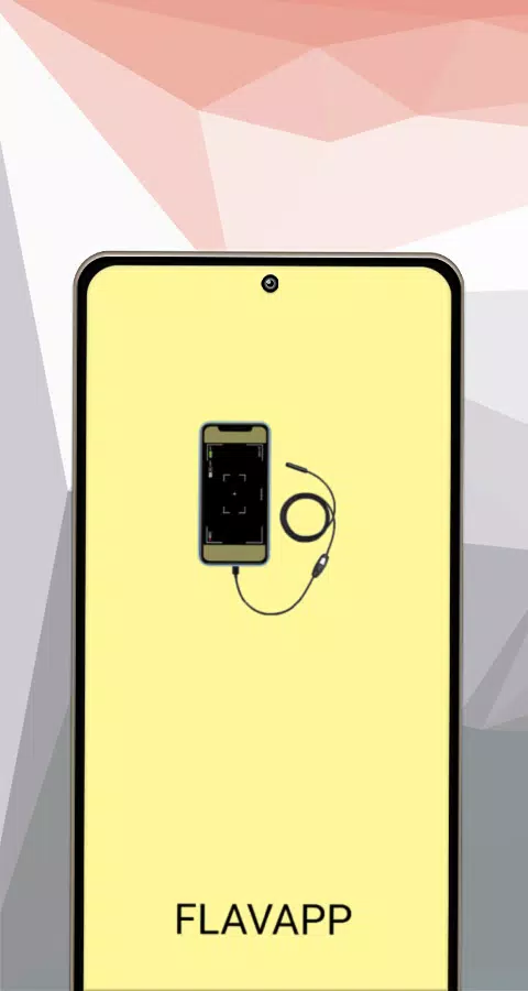 Camera endoscope / OTG USB Capture d'écran 3