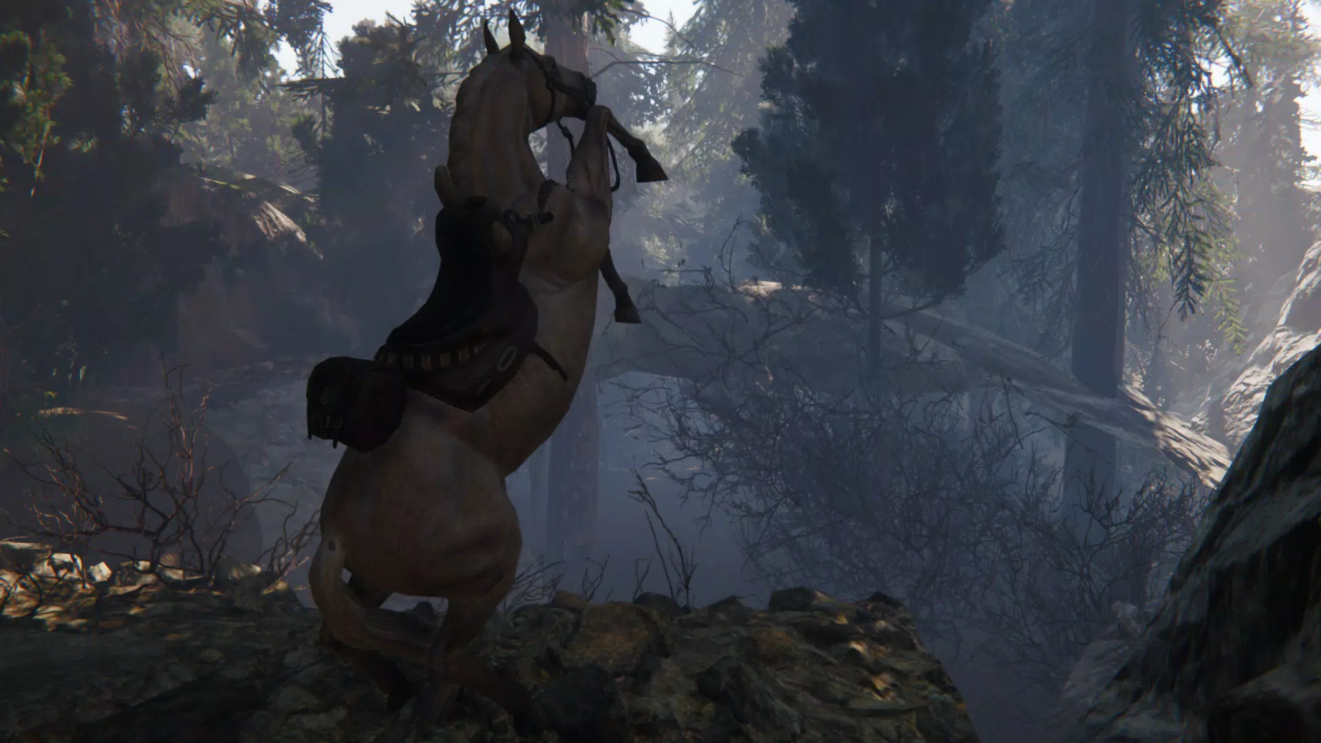 Spirit Horse: Woodland Trails स्क्रीनशॉट 3