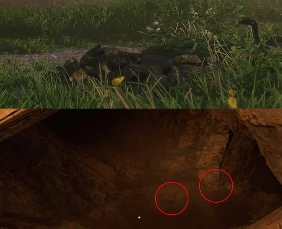 Surprises préhistoriques