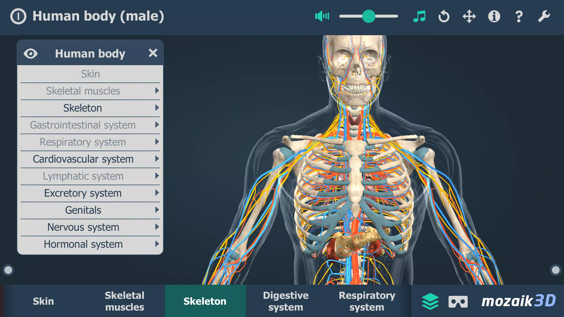 Human body (male) 3D scene Zrzut ekranu 3