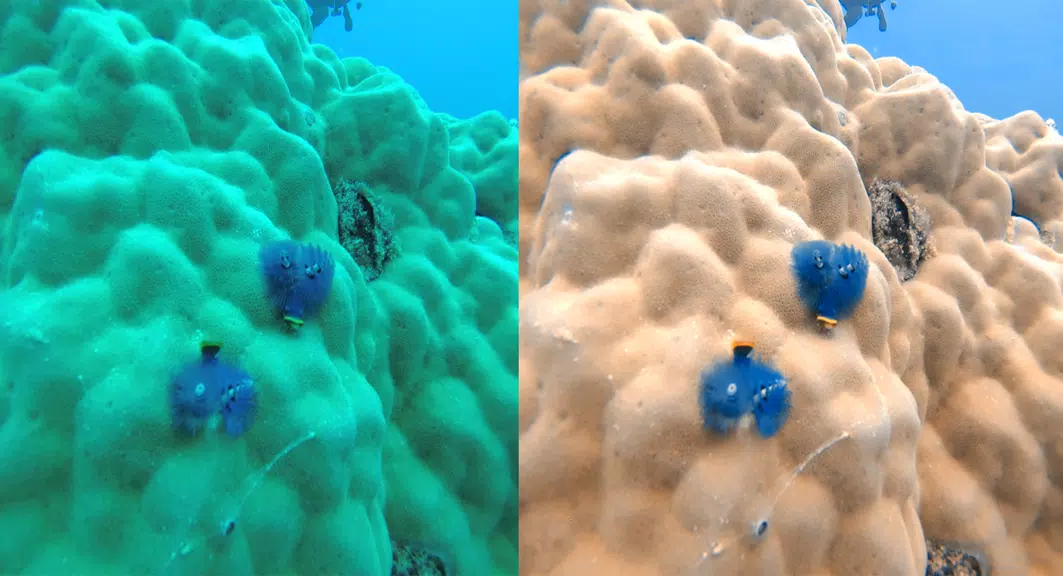 UwEdit - Diving footage editor 螢幕截圖 1