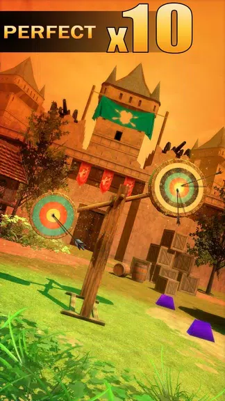 Archery Shooting 螢幕截圖 0