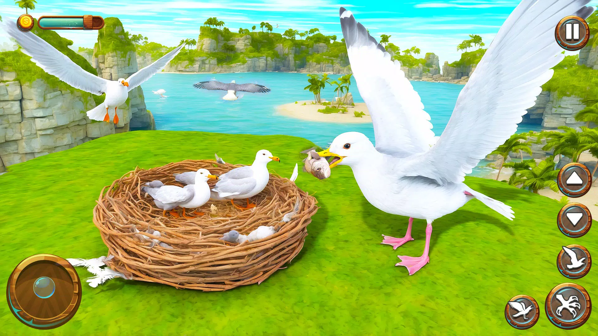 Seagull Bird Life Simulator 螢幕截圖 3