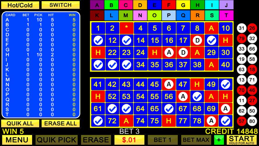 Keno 20 Card Captura de pantalla 1