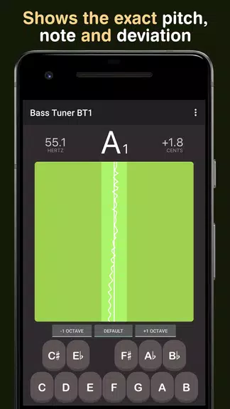 Bass Tuner BT1 Capture d'écran 1