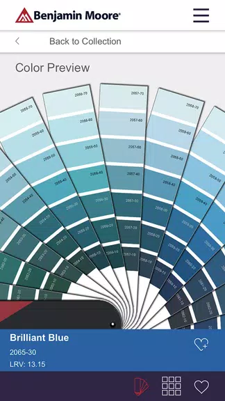 Color Portfolio स्क्रीनशॉट 1
