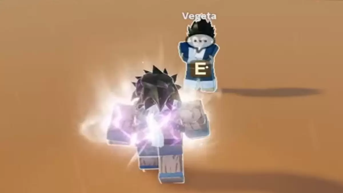 Vegeta boss fight