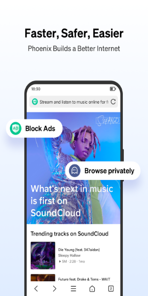 Phoenix Browser Zrzut ekranu 0