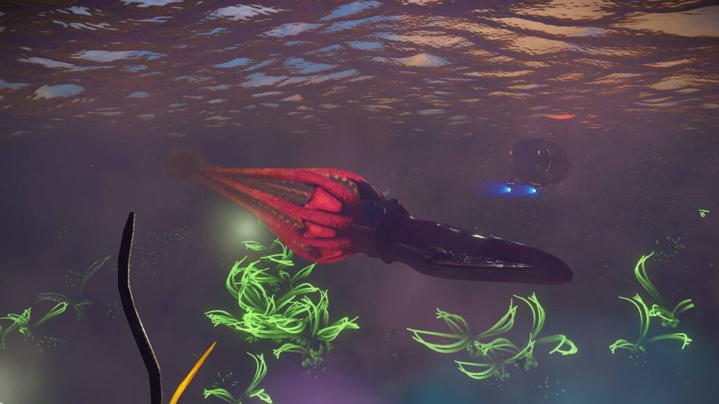 Gigantesques calmars