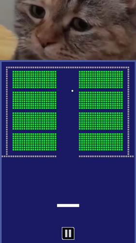 Chipi Chapa: Brick Breaker应用截图第0张