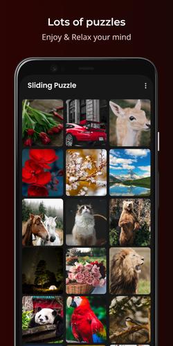 Sliding Puzzle 螢幕截圖 1