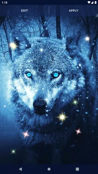 Night Wolf Live Wallpaper 스크린샷 3