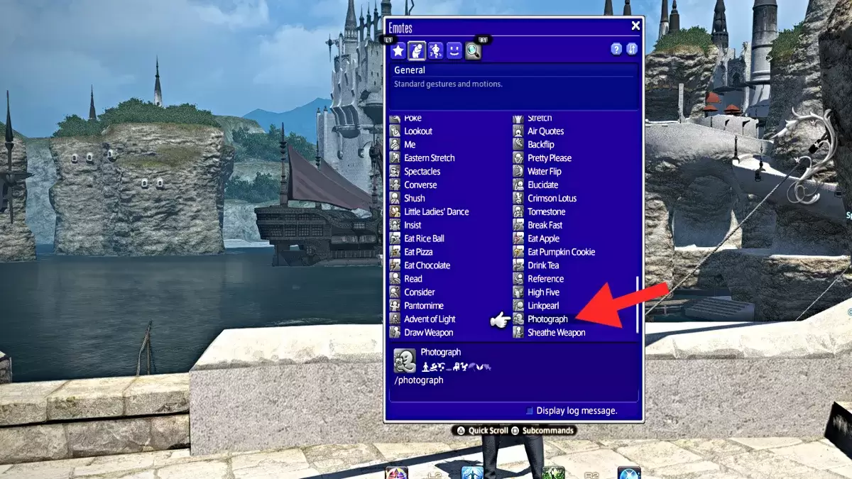 屏幕截圖顯示了照片中的照片