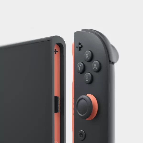 Nintendo 2 Controller Setup ကို switch