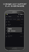 Pulsar Music Player Screenshot 3
