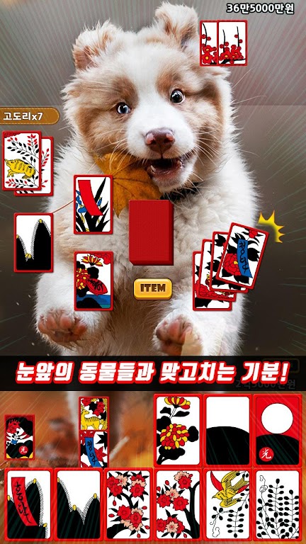 애니멀 맞고 - 동물 팻 고스톱 螢幕截圖 1