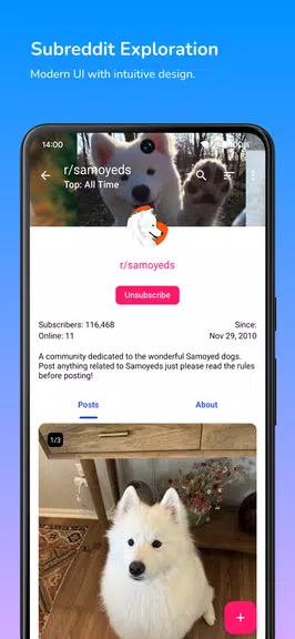 Infinity for Reddit スクリーンショット 0