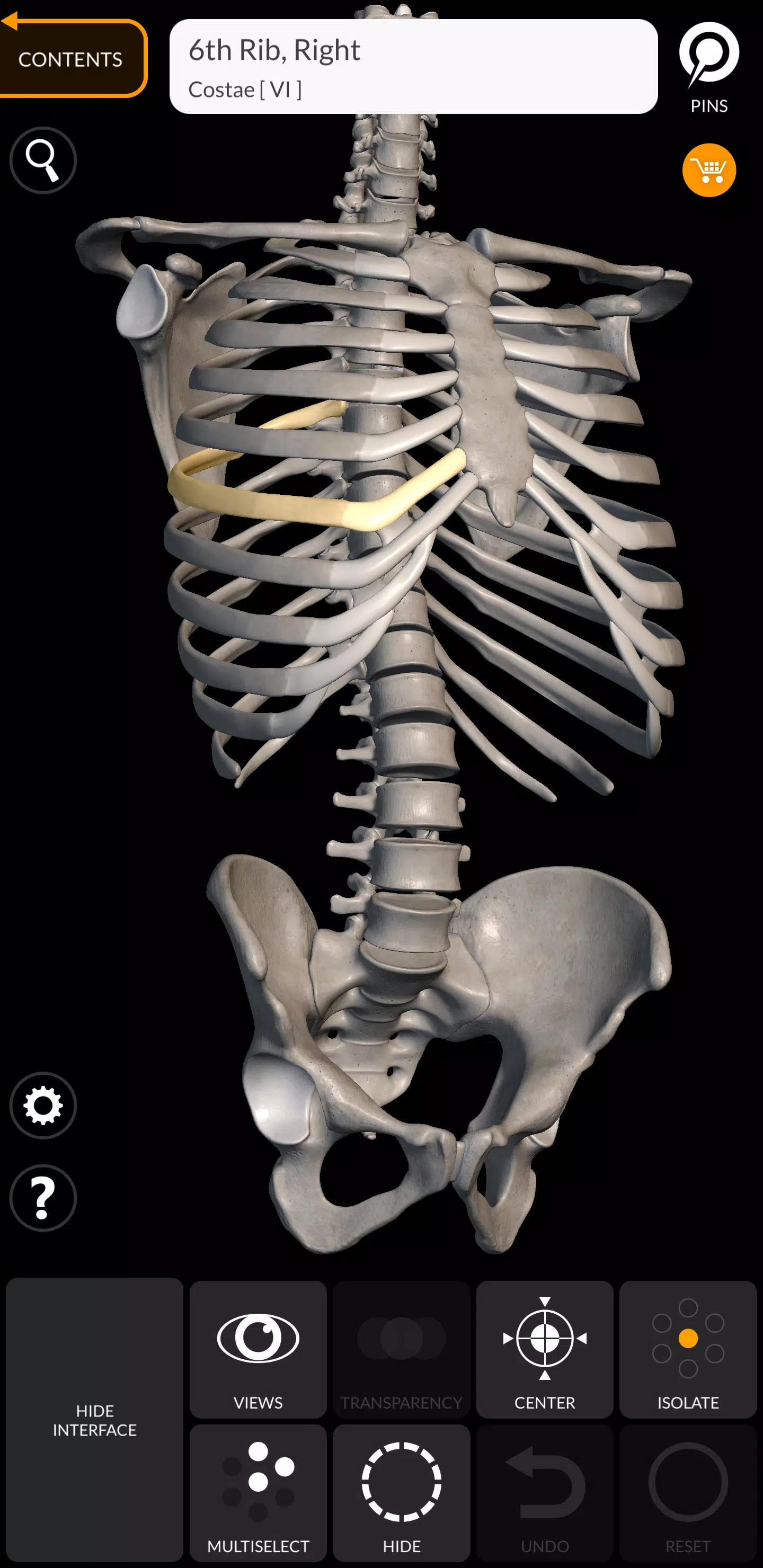 Skeleton 螢幕截圖 0