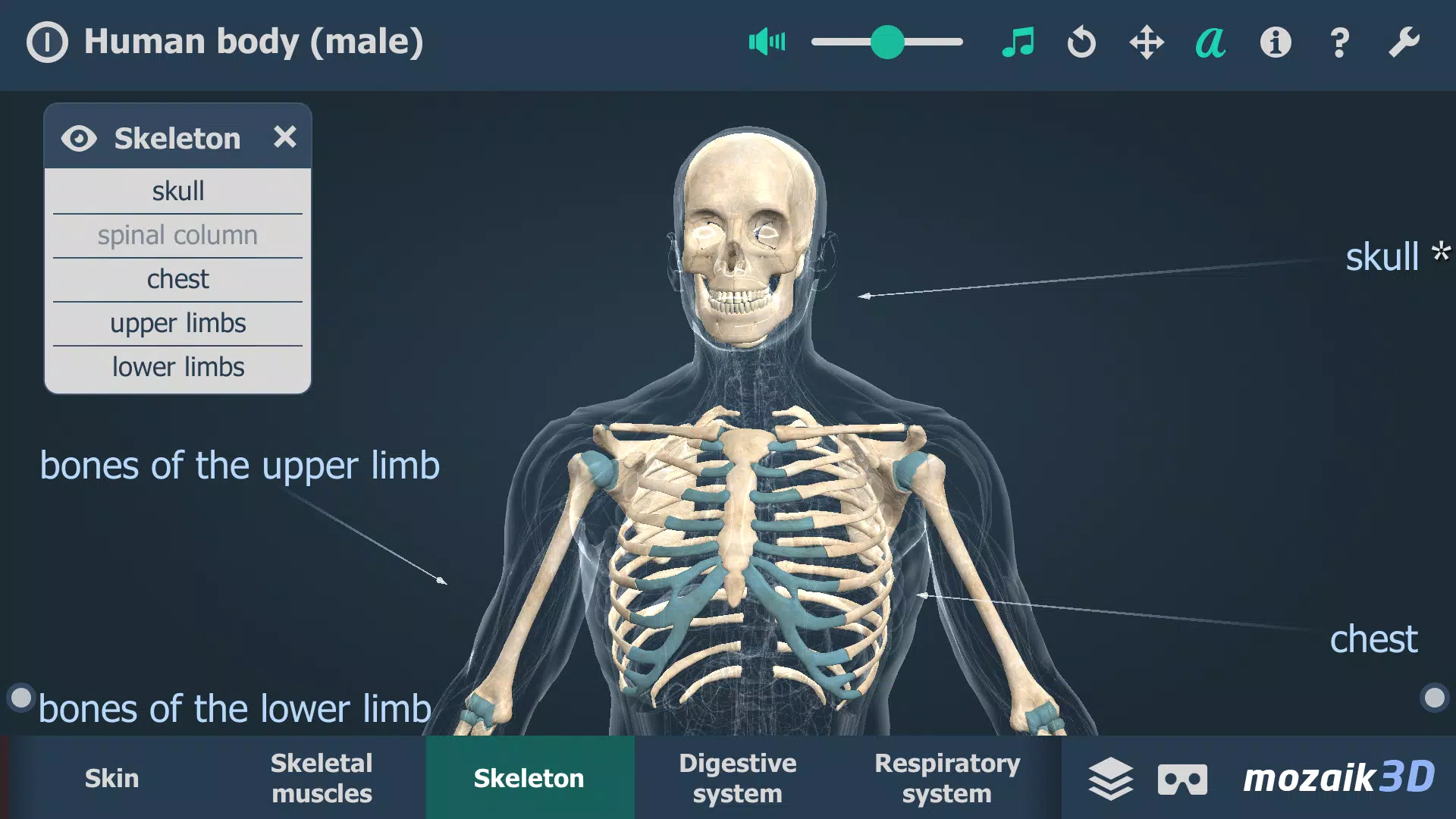 Human body (male) 3D scene Zrzut ekranu 2