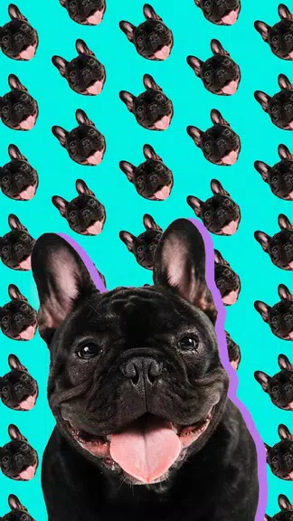 Patternator: Wallpaper Editor 螢幕截圖 1