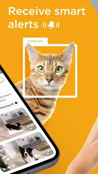 Petcube ဖန်သားပြင်ဓာတ်ပုံ 1