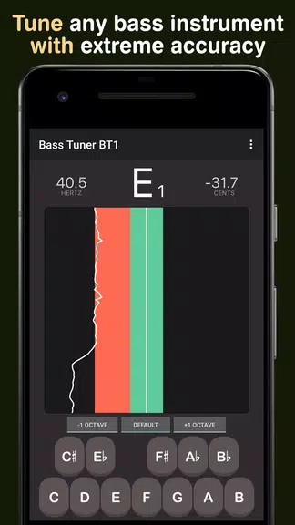 Bass Tuner BT1 Capture d'écran 0