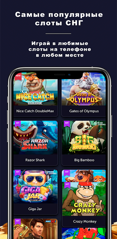 Online Casino - Fast Slots 螢幕截圖 2